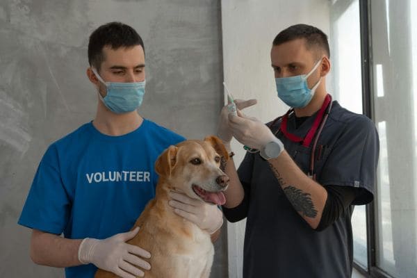  Free Vaccination Drive 